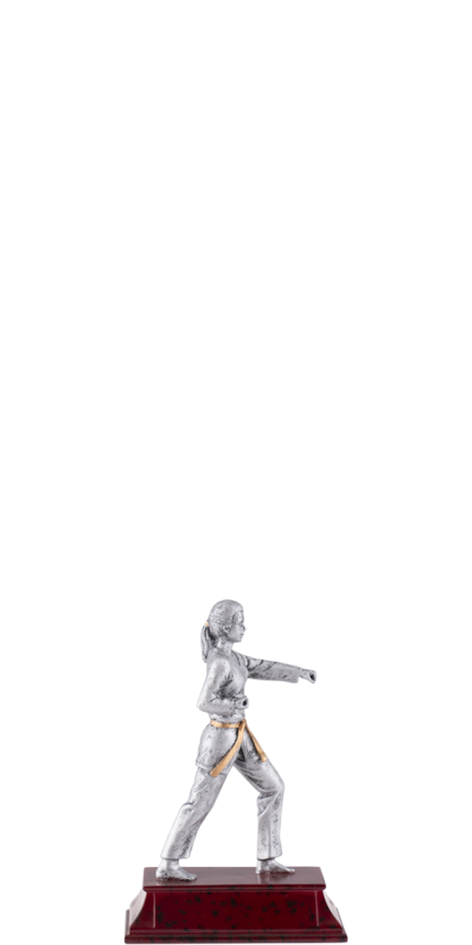 HDY-006 A